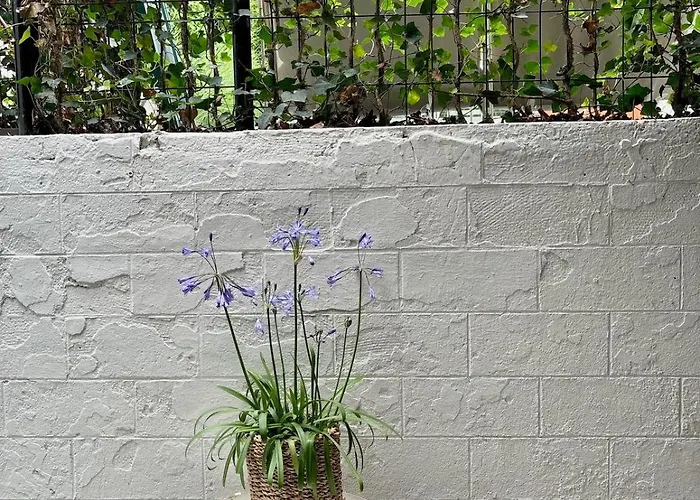 Διαμέρισμα Auguste